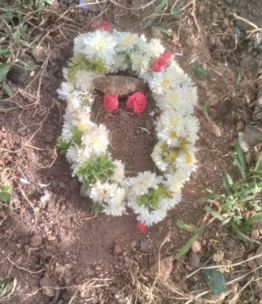 Untitled design - 2025-08-28T132541.836